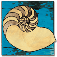 Free Pattern, Nautilus Shell