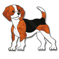 Free Pattern, Beagle