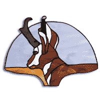 Free Pattern, Pronghorn Fan Lamp