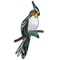 Free Pattern, Cockatiel