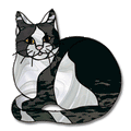 Free Pattern, Kitty Kitty