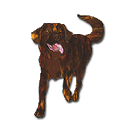 Free Pattern, Dodge