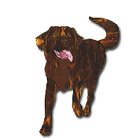 Free Pattern, Dodge