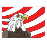 Free Pattern, Eagle & Flag