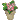 Free Pattern, Potted Primrose
