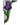 Free Pattern, Iris For Springtime