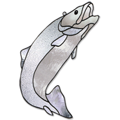 Free Pattern, Trout