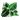 Free Pattern, Growing Wild