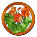 Free Pattern, Nasturiums