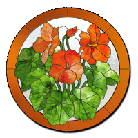 Free Pattern, Nasturiums