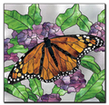 Free Pattern, Royal Monarch
