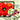 Glass Patterns Quarterly Summer 2024