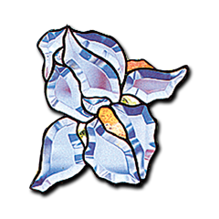 Iris Bevel Cluster - Blue, Facing Left