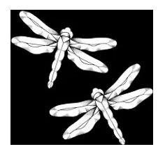 Damselflies Bevel Cluster - Blue (2 cluster set) 3.5"x5.5"