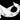 Killer Whale Bevel Cluster - Grey