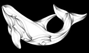 Killer Whale Bevel Cluster - Grey