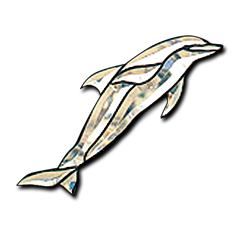 Dolphin Bevel Cluster
