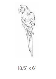 Parrot Bevel Cluster - Clear (20 pieces)