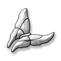 Butterfly Bevel Cluster