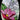 Large Hummingbird Bevel Cluster, Facing Left