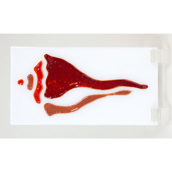 Conch Shell Stencil