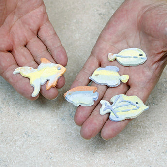 5 Tropical Fish Wafer Stencil