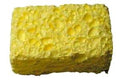 Inland Replacement Grinder Sponge