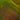 Kokomo Purple, Lime, Blue Streaky