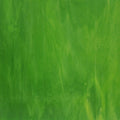 Kokomo Lime Green Opalume/Green