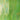 Kokomo Green Opalume/Green Iridized
