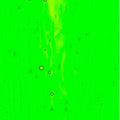 Kokomo Lime/Green Streaky