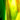 Kokomo Green/Dark Amber/Clear Streaky