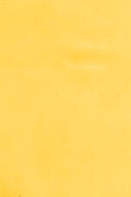 Kokomo Light Amber Cathedral
