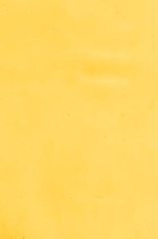Kokomo Light Amber Cathedral