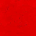 Kokomo Cerise Ruby