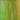Kokomo Green/Brown/Blue Opal