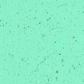 Kokomo Light Blue Green Cathedral