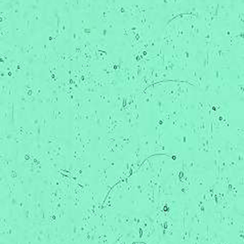 Kokomo Light Blue Green Cathedral