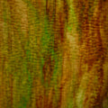 Kokomo Brown/Green Opal Granite
