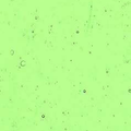 Kokomo Light Green Cathedral Wavolite