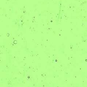 Kokomo Light Green Cathedral Wavolite