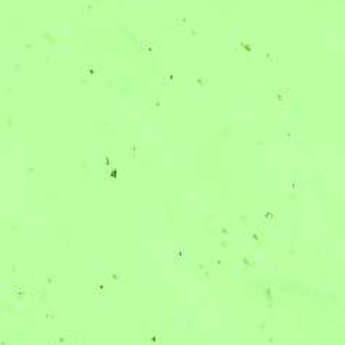 Kokomo Pale Green Wavolite