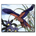 Flying Macaw & Orchids Pattern