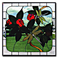 Dragonflys & Flowers Pattern