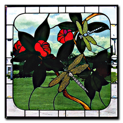 Dragonflys & Flowers Pattern
