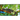 Alligator Window Pattern