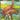 Sandhill Cranes Window Pattern