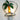 Palm Island Night Light