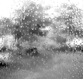 Spectrum Clear Rainwater 96COE