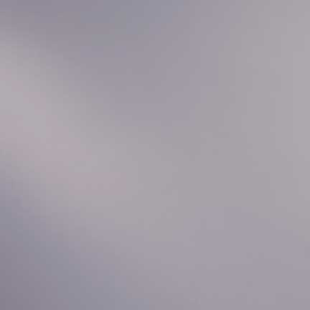 Spectrum Pale Gray 96COE
